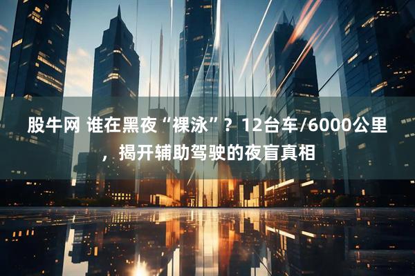 股牛网 谁在黑夜“裸泳”？12台车/6000公里，揭开辅助驾驶的夜盲真相