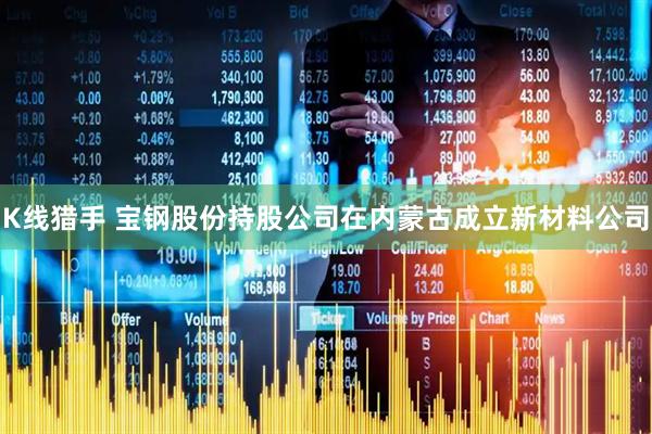 K线猎手 宝钢股份持股公司在内蒙古成立新材料公司