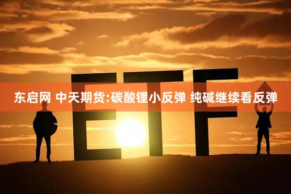 东启网 中天期货:碳酸锂小反弹 纯碱继续看反弹