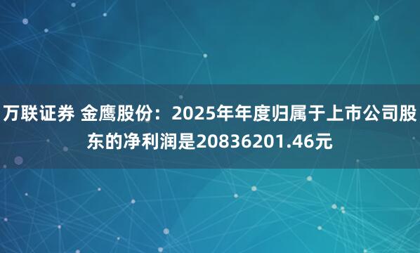 万联证券 金鹰股份：2025年年度归属于上市公司股东的净利润是20836201.46元