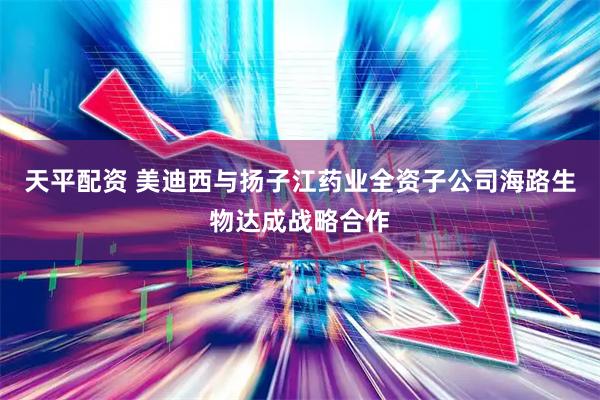 天平配资 美迪西与扬子江药业全资子公司海路生物达成战略合作