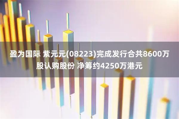 盈为国际 紫元元(08223)完成发行合共8600万股认购股份 净筹约4250万港元