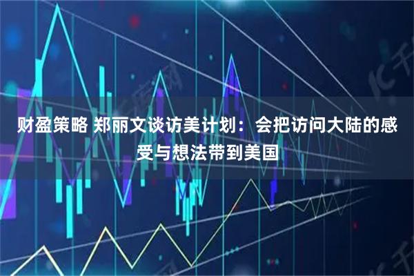 财盈策略 郑丽文谈访美计划：会把访问大陆的感受与想法带到美国