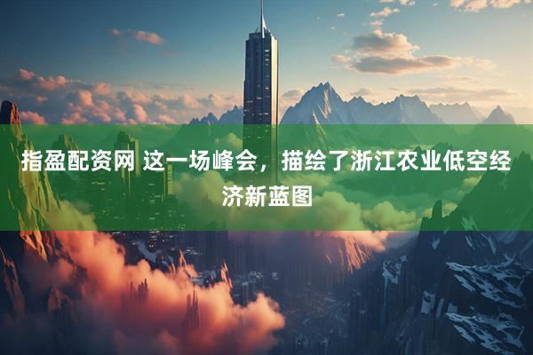 指盈配资网 这一场峰会，描绘了浙江农业低空经济新蓝图