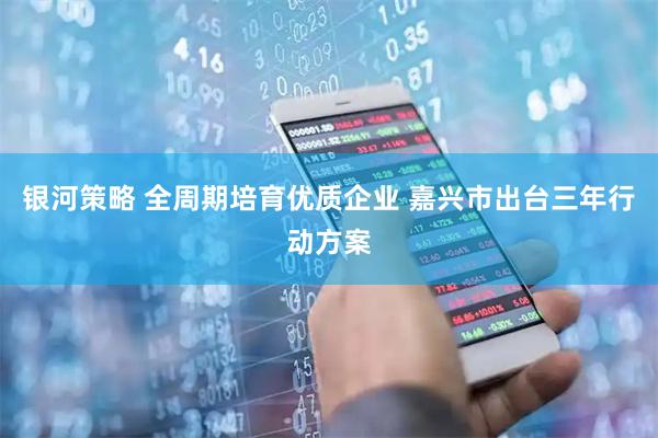 银河策略 全周期培育优质企业 嘉兴市出台三年行动方案