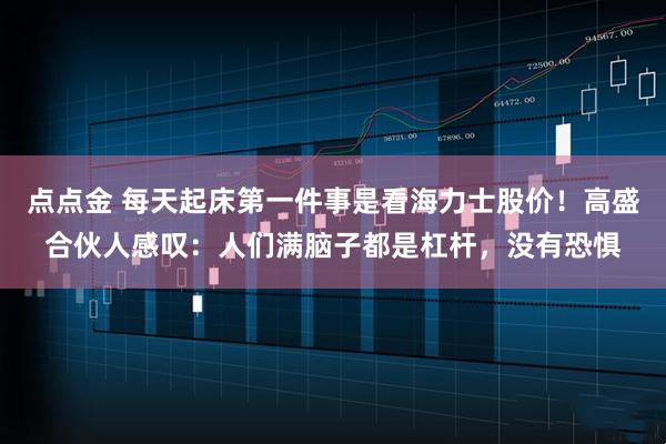 点点金 每天起床第一件事是看海力士股价！高盛合伙人感叹：人们满脑子都是杠杆，没有恐惧