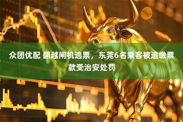 众团优配 翻越闸机逃票,东莞6名乘客被追缴票款受治安处罚