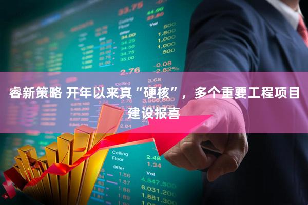 睿新策略 开年以来真“硬核”，多个重要工程项目建设报喜