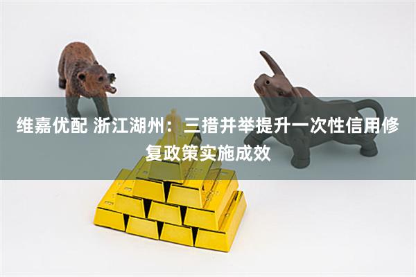 维嘉优配 浙江湖州：三措并举提升一次性信用修复政策实施成效