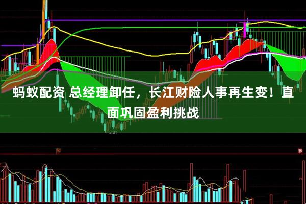蚂蚁配资 总经理卸任，长江财险人事再生变！直面巩固盈利挑战