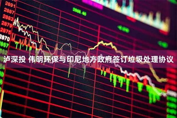 泸深投 伟明环保与印尼地方政府签订垃圾处理协议