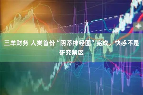 三羊财务 人类首份“阴蒂神经图”完成，快感不是研究禁区
