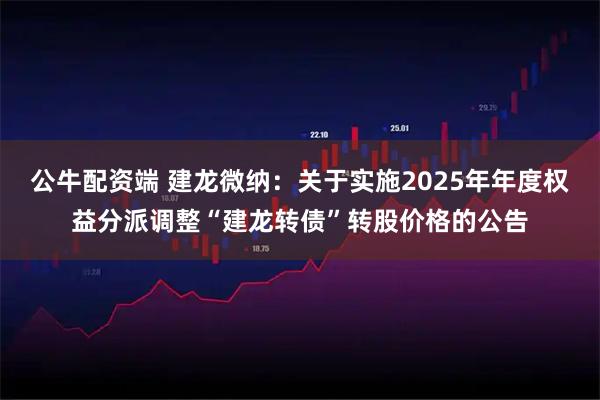 公牛配资端 建龙微纳：关于实施2025年年度权益分派调整“建龙转债”转股价格的公告