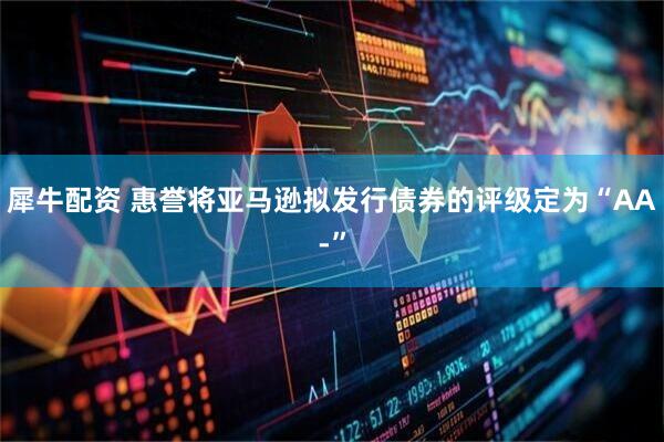 犀牛配资 惠誉将亚马逊拟发行债券的评级定为“AA-”