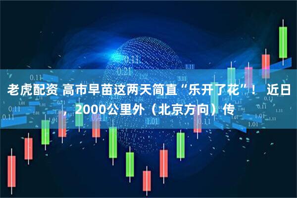 老虎配资 高市早苗这两天简直“乐开了花”！ 近日，2000公里外（北京方向）传