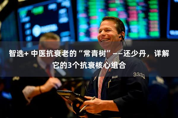 智选+ 中医抗衰老的“常青树”——还少丹，详解它的3个抗衰核心组合