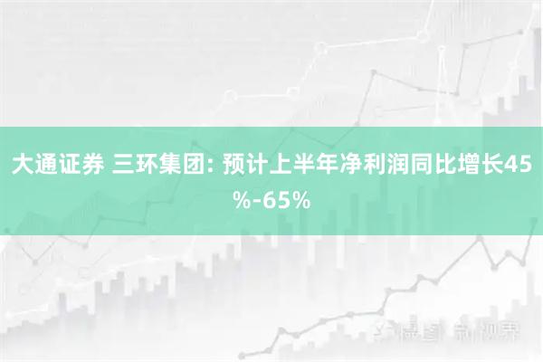 大通证券 三环集团: 预计上半年净利润同比增长45%-65%